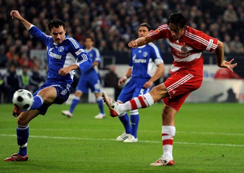 积极引进外 积极引进外